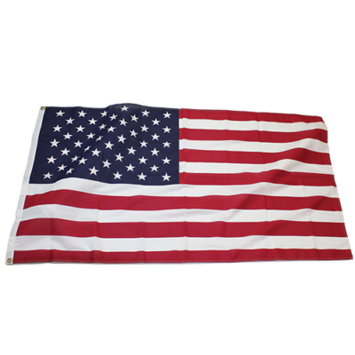 Economy American Flag